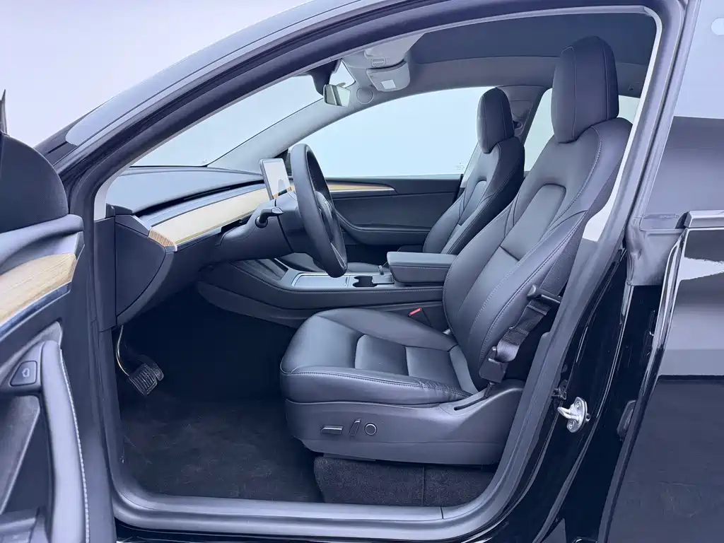 Tesla Model Y — миниатюра 4