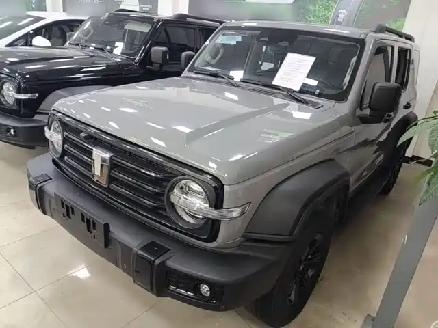 2023 TANK 300