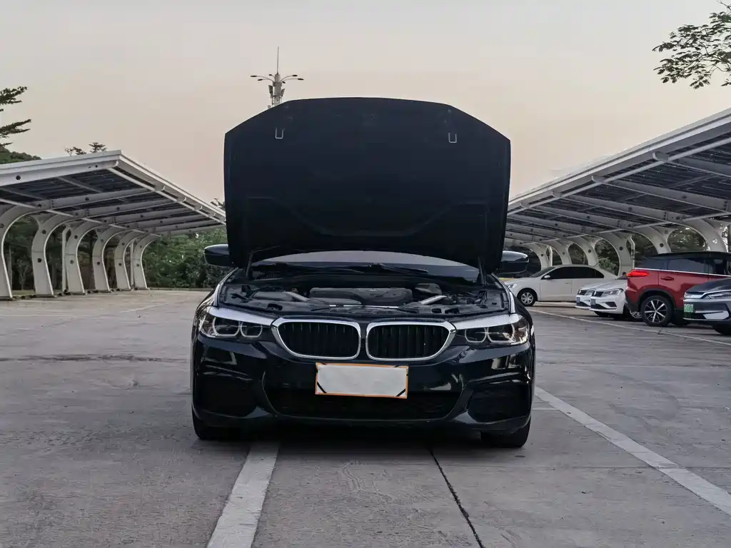 BMW 5 Series (Import) — миниатюра 11