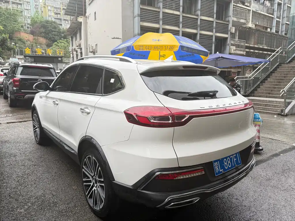 Leopaard Mattu — миниатюра 8