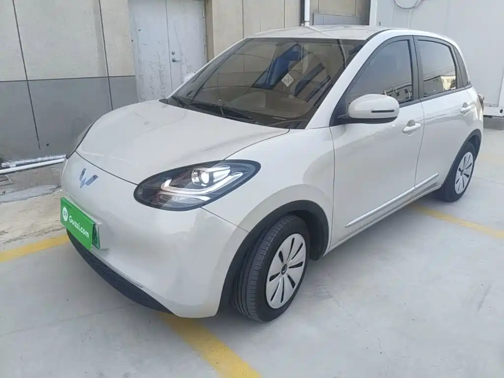 Wuling Binguo 2023 203km Light Enjoy