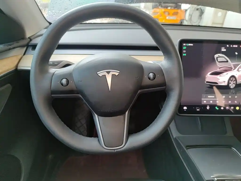 Tesla Model Y — миниатюра 11