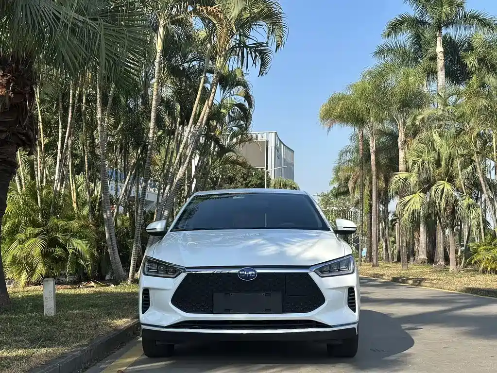 BYD E2