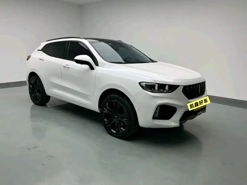 WEI PAI WEI BRAND VV5