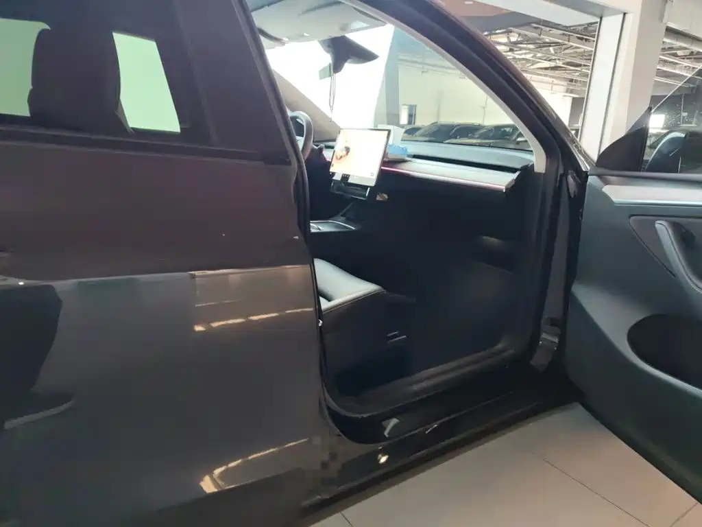 Tesla Model Y — миниатюра 19