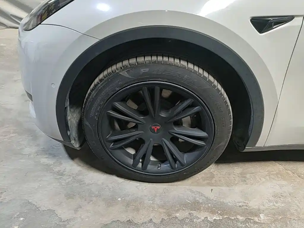 Tesla Model Y — миниатюра 23