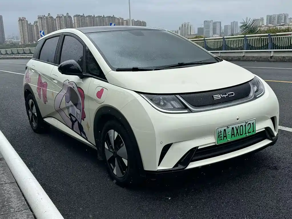 BYD Dolphin — миниатюра 3