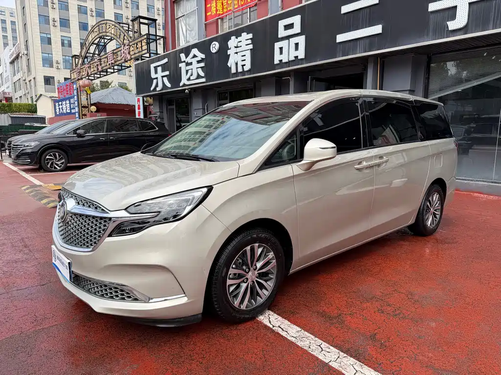 Buick GL8 — миниатюра 2