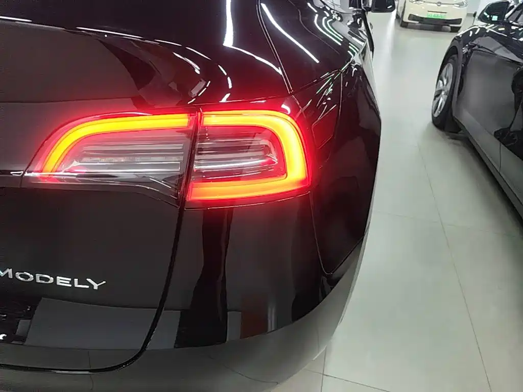 Tesla Model Y — миниатюра 8
