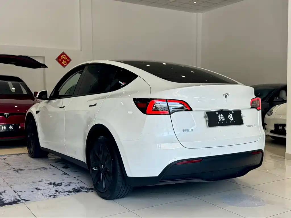 Tesla Model Y — миниатюра 10