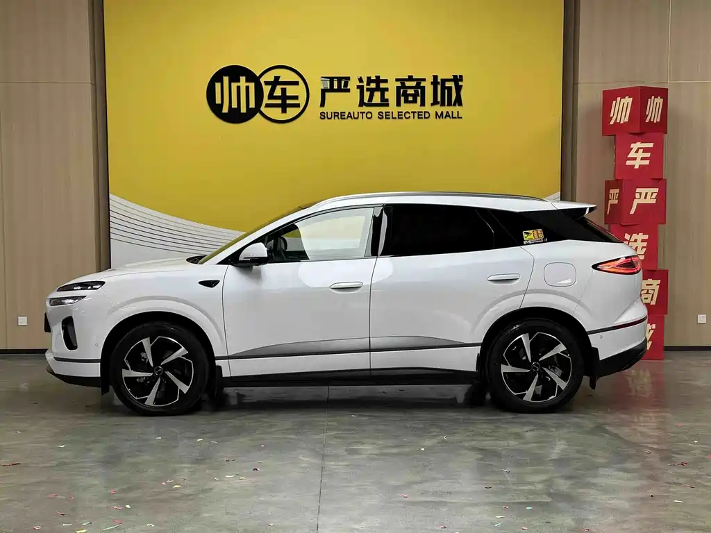 BYD Sealion 06 — миниатюра 5