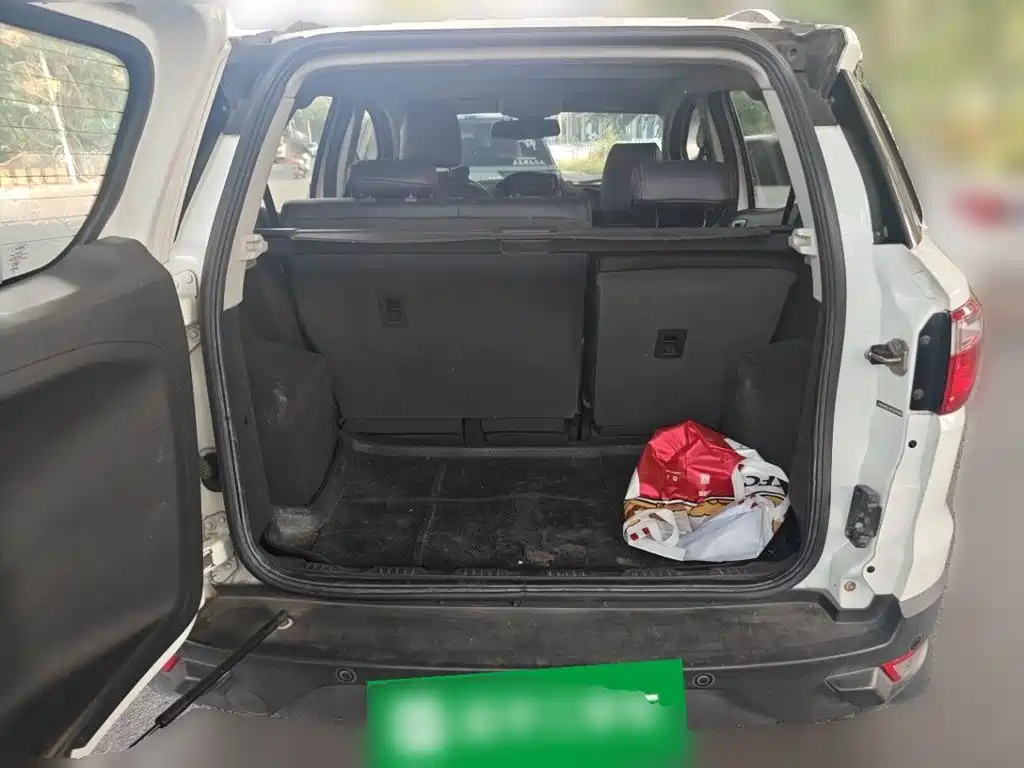 Ford Ecosport — миниатюра 10