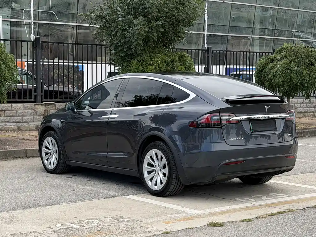 Tesla Model X — миниатюра 6