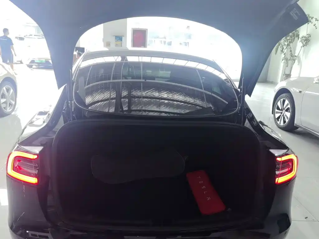 Tesla Model 3 — миниатюра 19