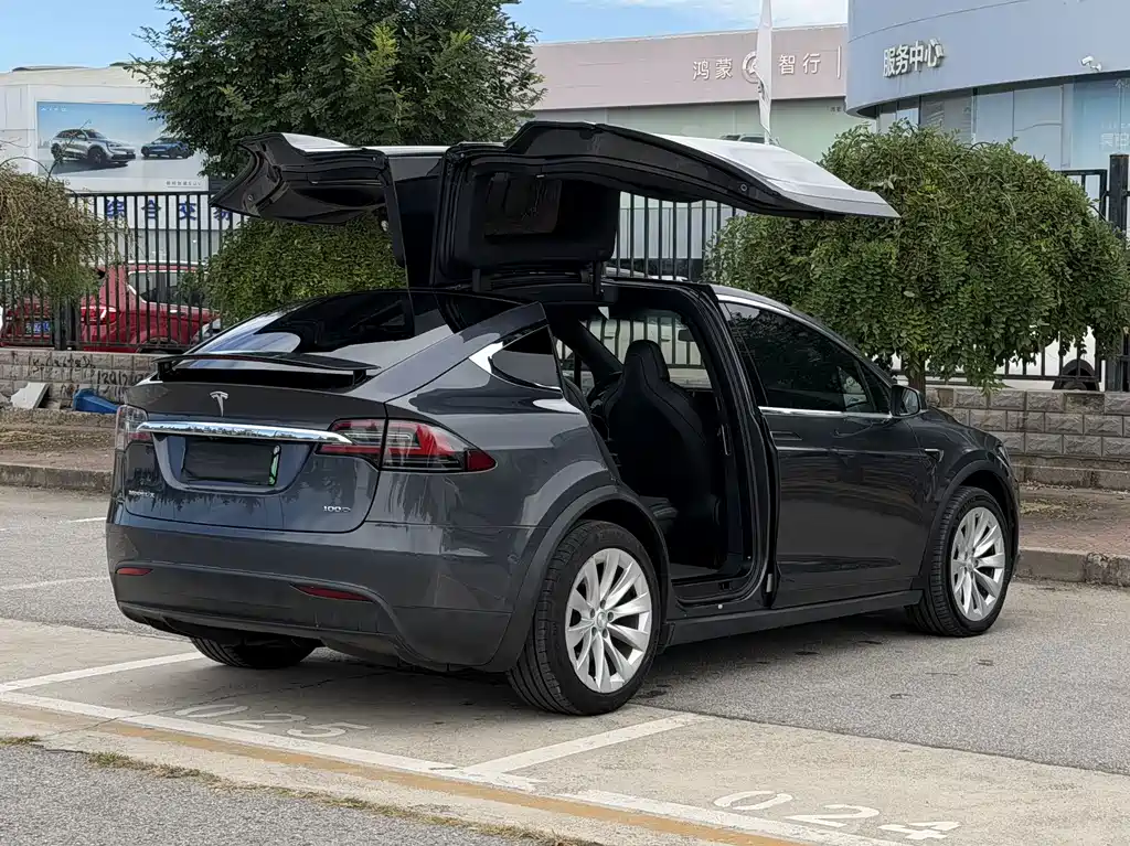 Tesla Model X — миниатюра 14