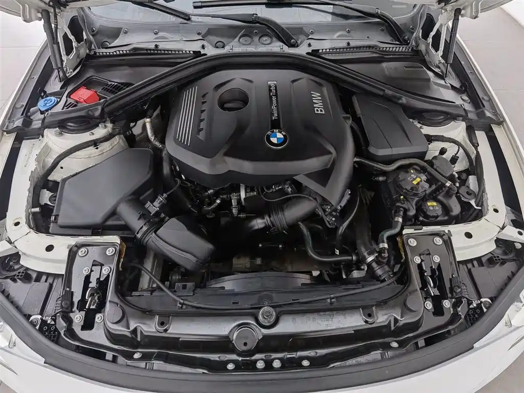 BMW 3 Series 3 2018 320Li Fashion