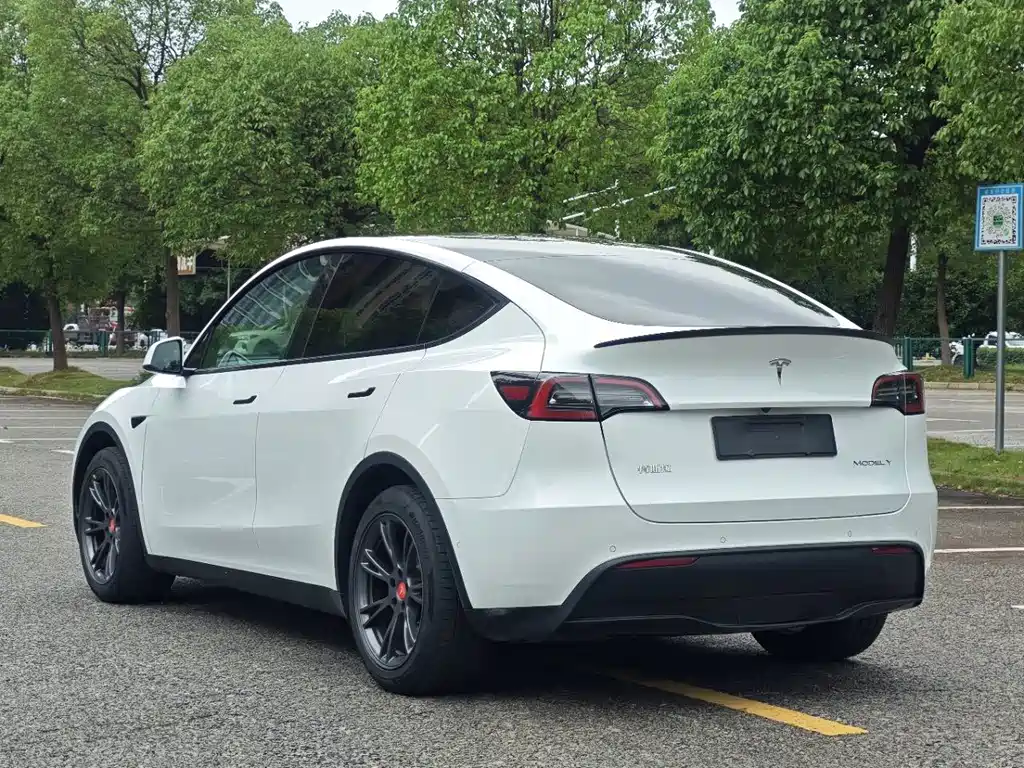 Tesla Model Y — миниатюра 19