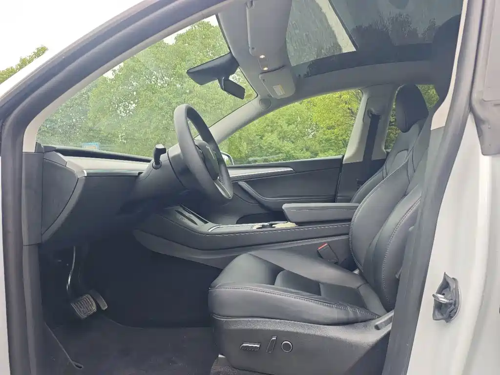 Tesla Model Y — миниатюра 3