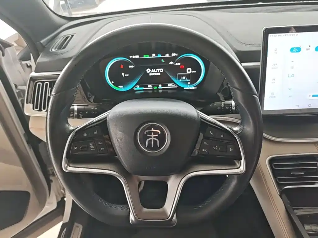 BYD PLUS New Energy — миниатюра 11
