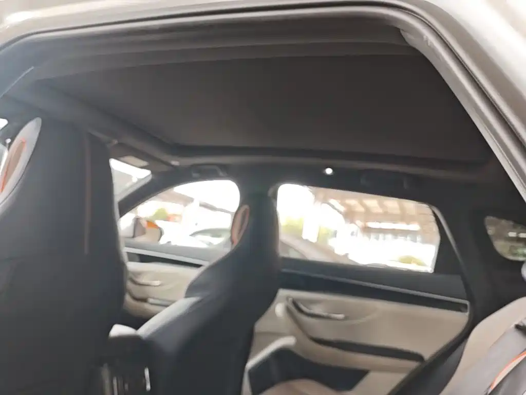 BYD PLUS New Energy — миниатюра 18