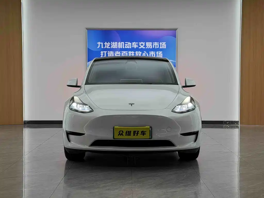 Tesla Model Y — миниатюра 2