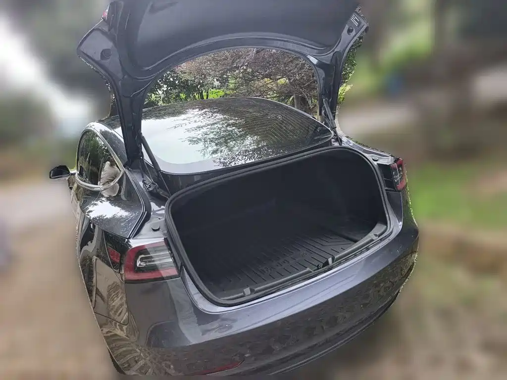 Tesla Model 3 — миниатюра 20