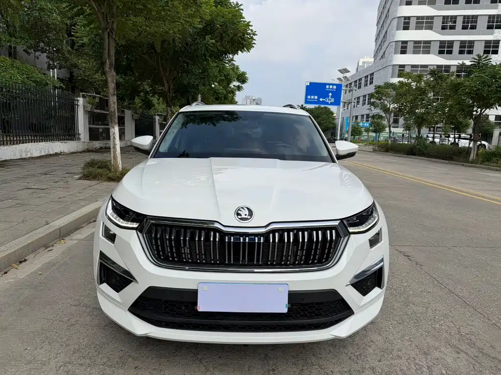 Skoda Kodiaq — миниатюра 2