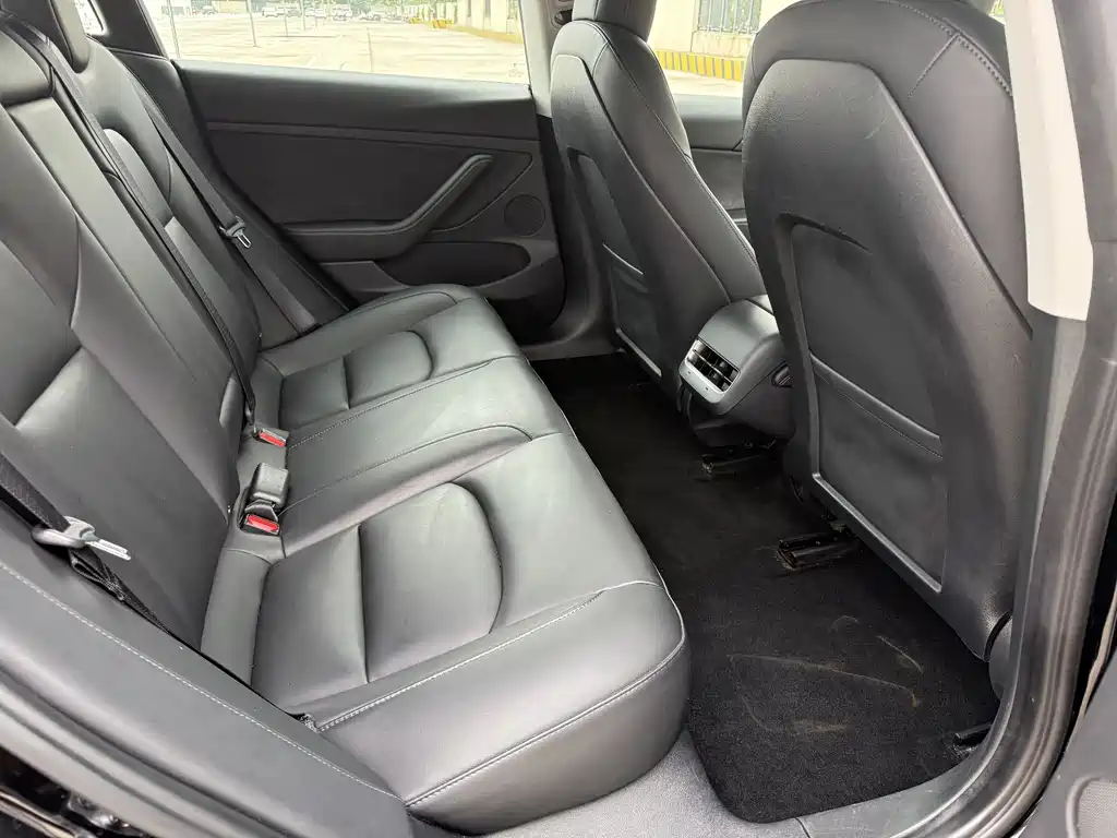 Tesla Model 3 2021 3D1