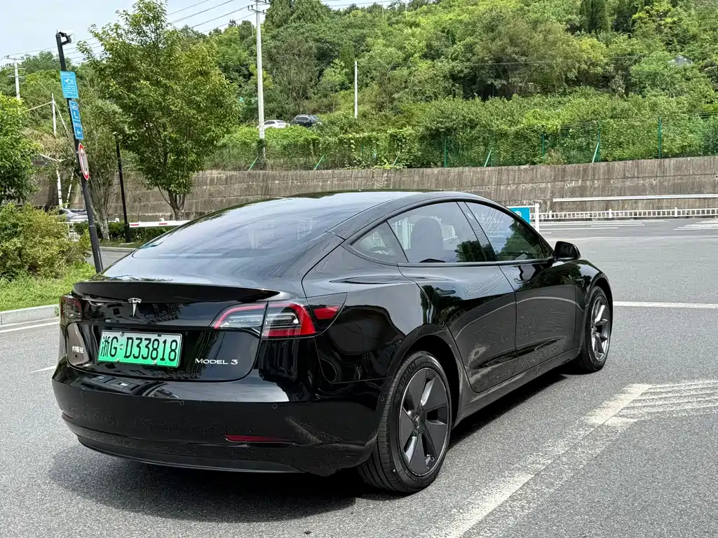 Tesla Model 3 — миниатюра 7