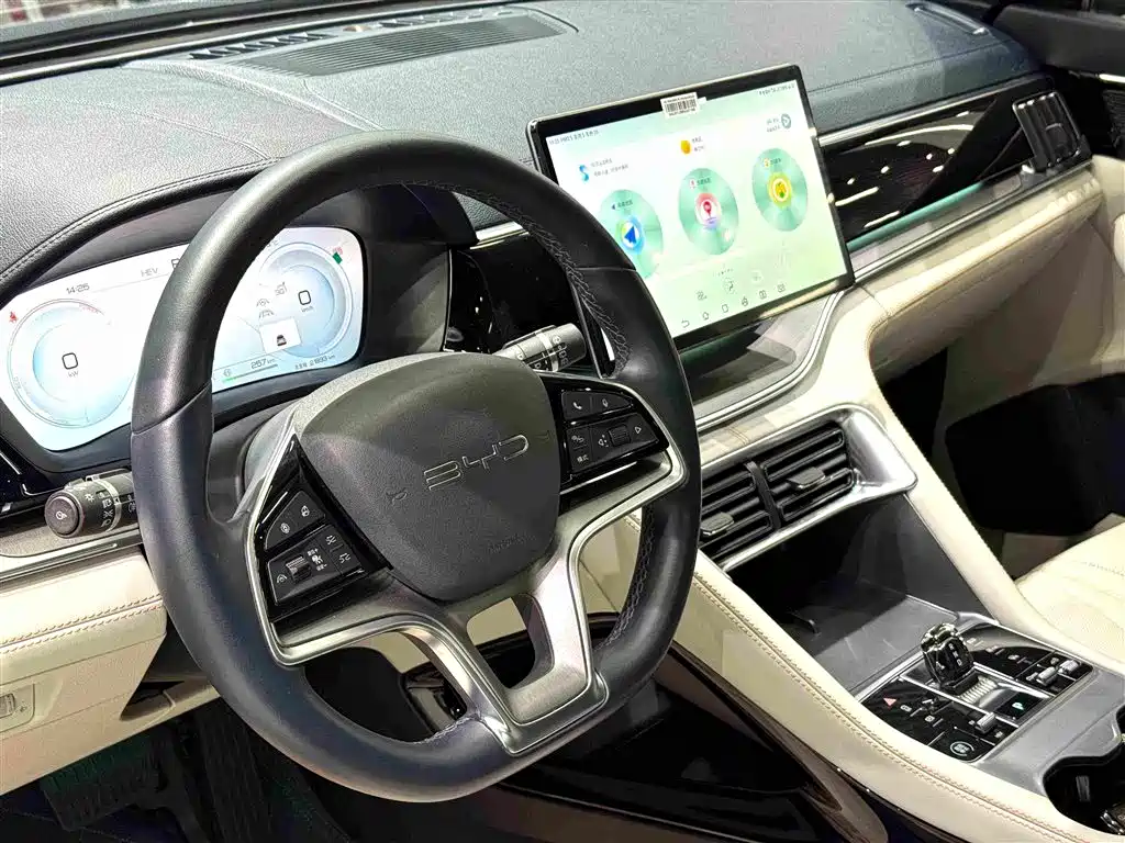 BYD PLUS New Energy — миниатюра 13