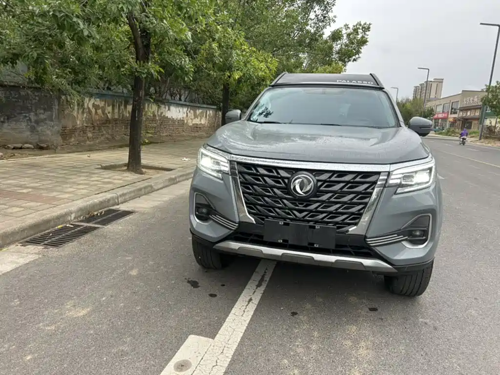 Dongfeng Palasso — миниатюра 6