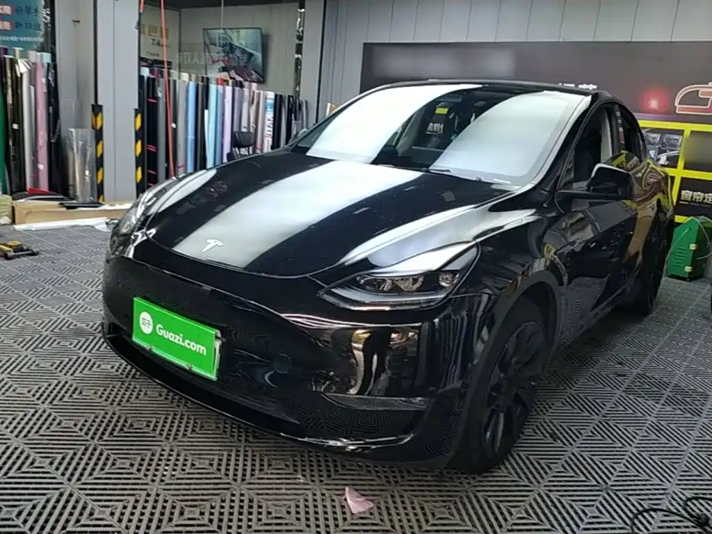 Tesla Model Y — миниатюра 2