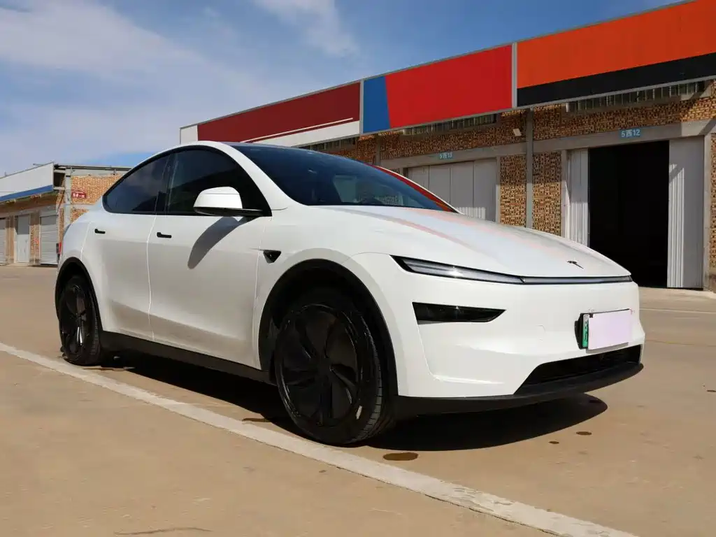 Tesla Model Y — миниатюра 3