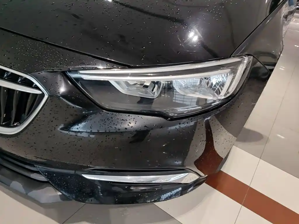 Buick Regal — миниатюра 24