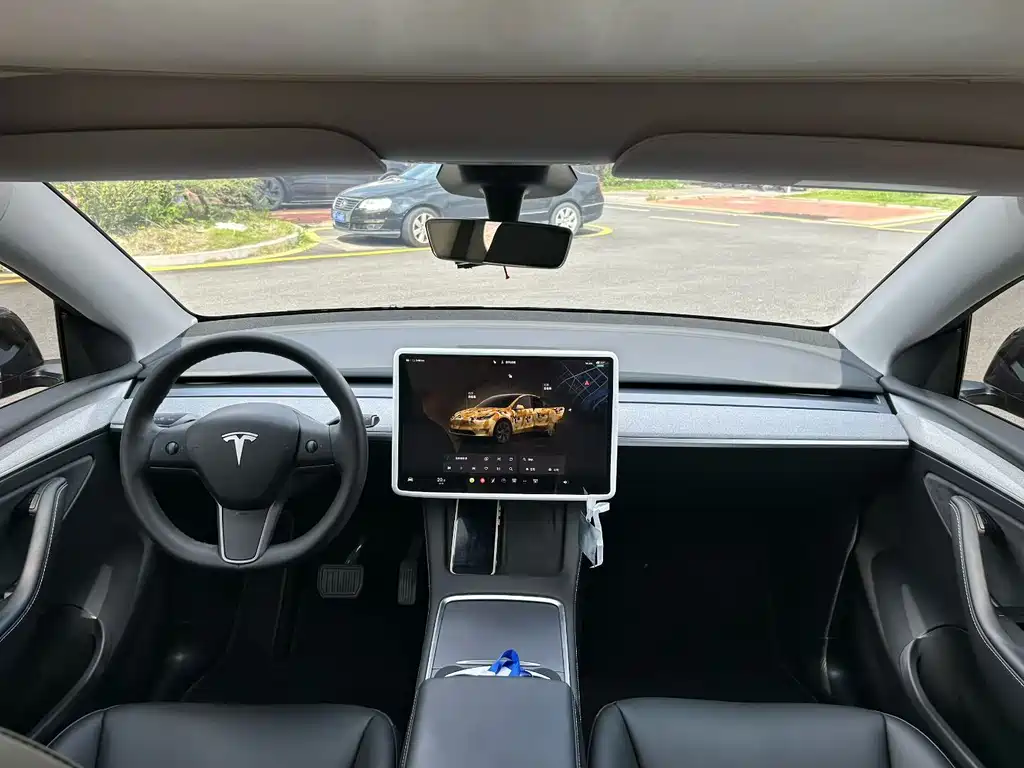 Tesla Model Y — миниатюра 9