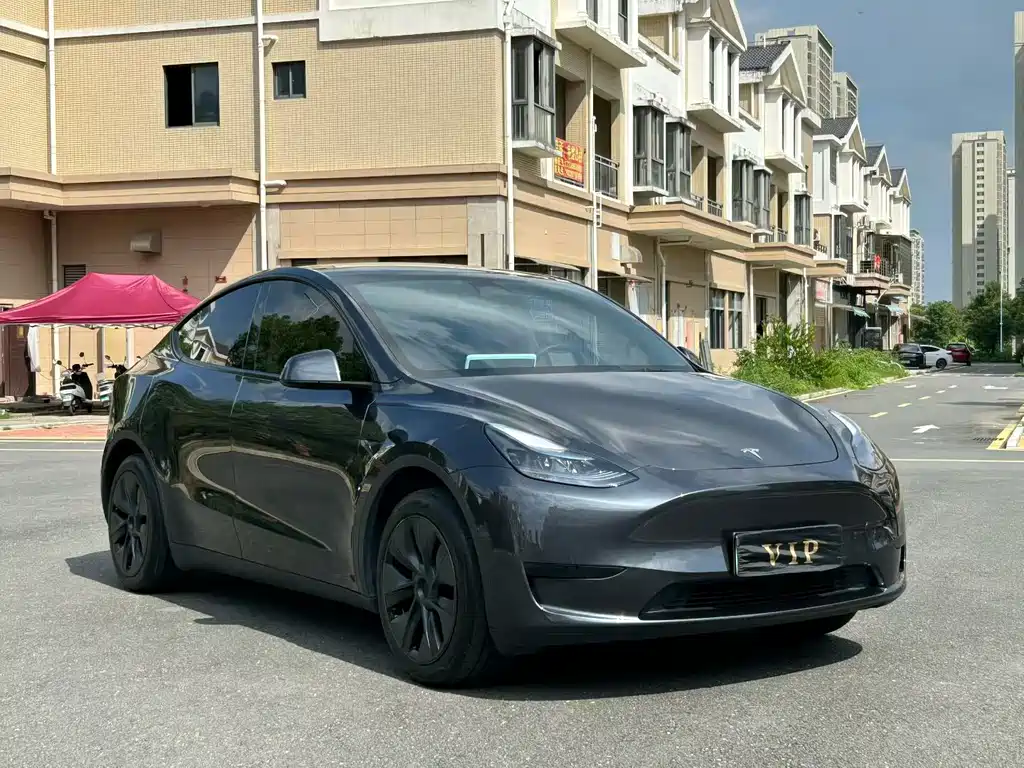 Tesla Model Y — миниатюра 3