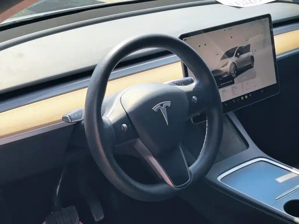 Tesla Model Y — миниатюра 8