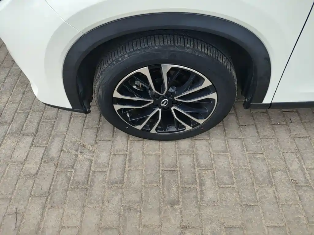 GAC Motor GS4 Plus — миниатюра 23