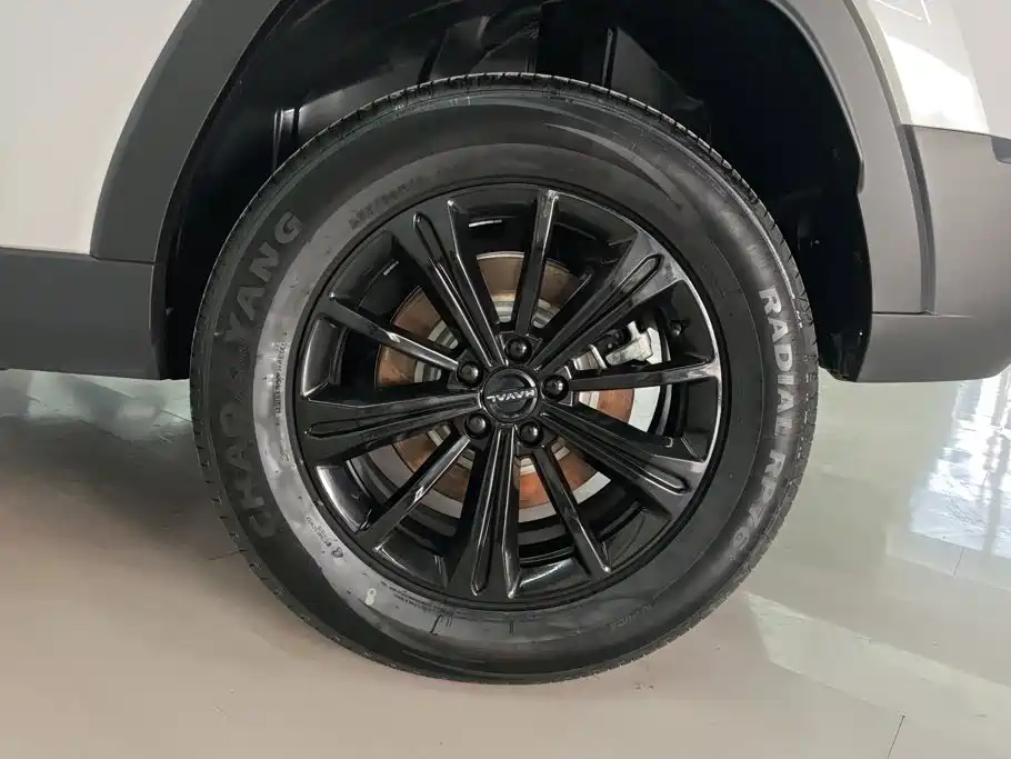 Haval Menglong New Energy — миниатюра 6