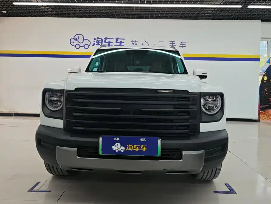 Haval Menglong New Energy — миниатюра 2