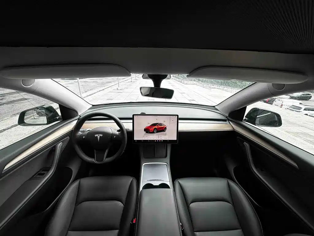 Tesla Model Y — миниатюра 18
