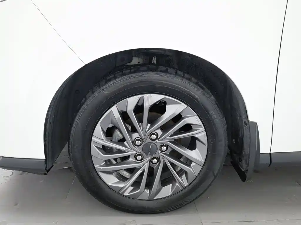 MAXUS G50 — миниатюра 17