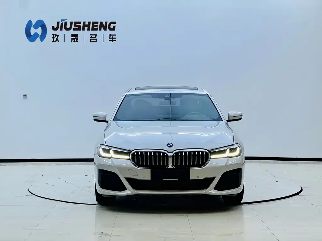 BMW 5 Series — миниатюра 2
