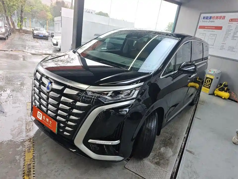 Denza D9