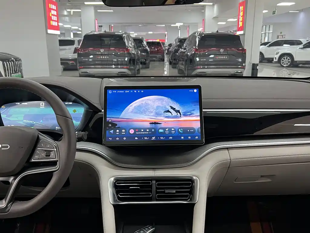 BYD PLUS New Energy — миниатюра 6