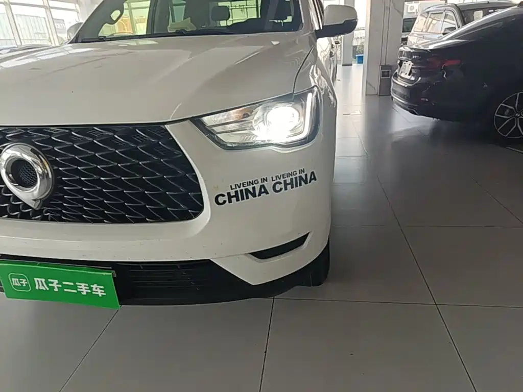 Great Wall Pao — миниатюра 24