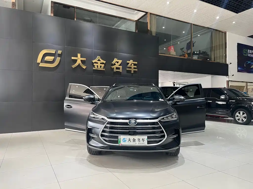 BYD Tang New Energy — миниатюра 2