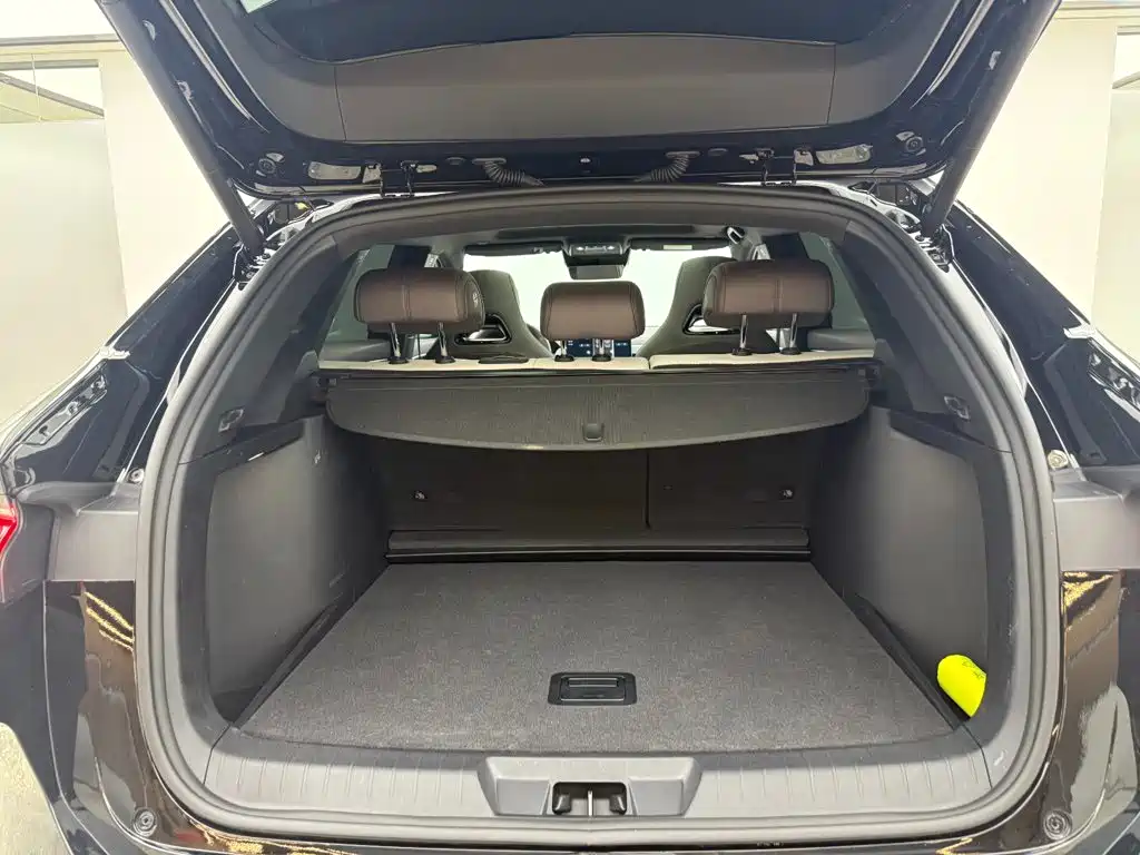 BYD PLUS New Energy — миниатюра 6
