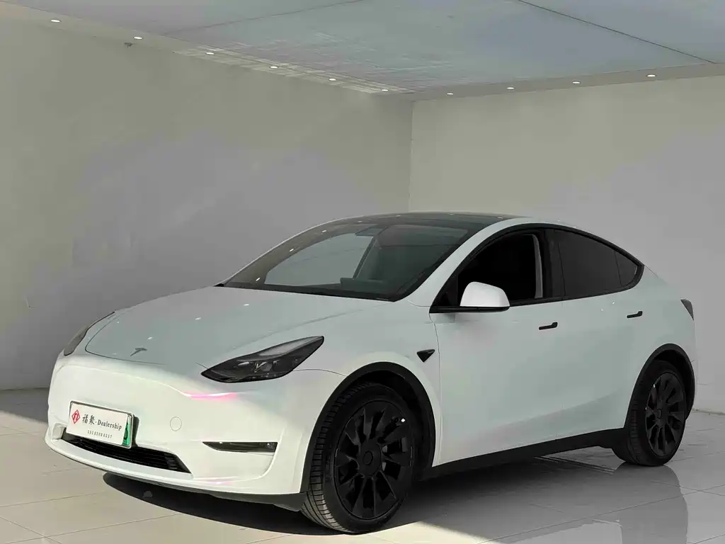 Tesla Model Y — миниатюра 3