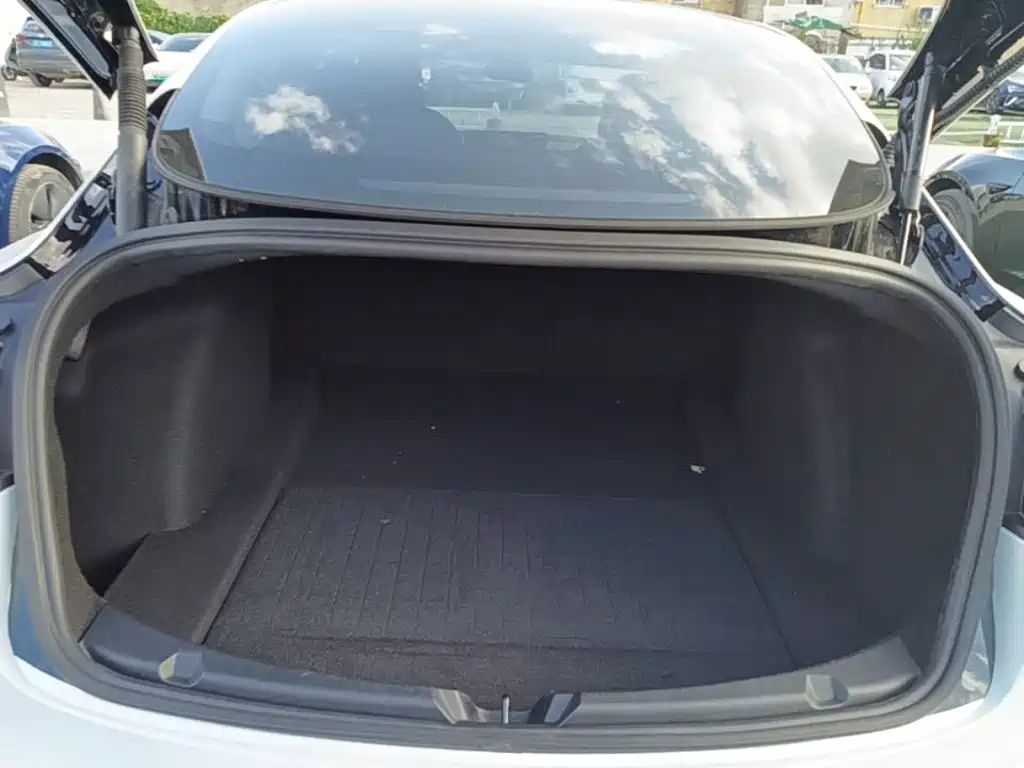 Tesla Model 3 — миниатюра 19